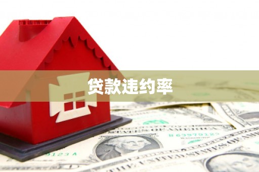 固阳贷款违约率