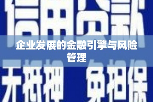 固阳企业发展的金融引擎与风险管理