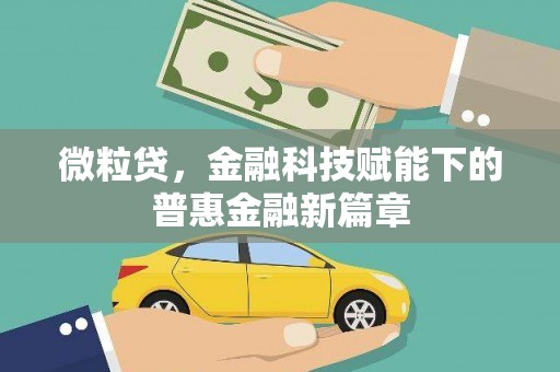 固阳微粒贷，金融科技赋能下的普惠金融新篇章