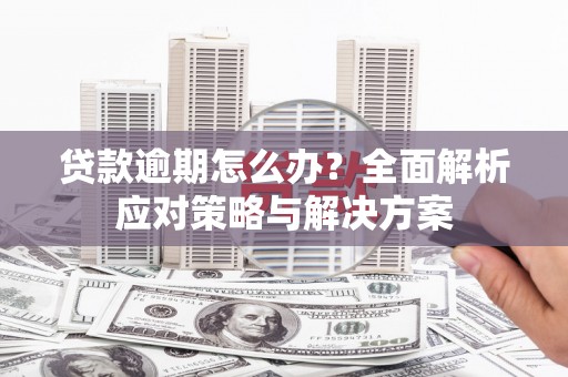 固阳贷款逾期怎么办？全面解析应对策略与解决方案