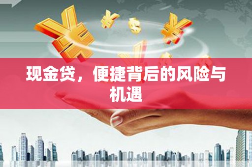 固阳现金贷，便捷背后的风险与机遇