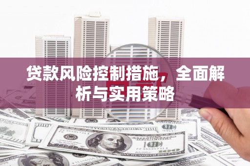 固阳贷款风险控制措施，全面解析与实用策略
