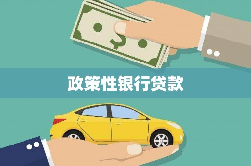 固阳政策性银行贷款