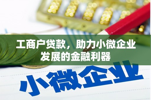 固阳工商户贷款，助力小微企业发展的金融利器