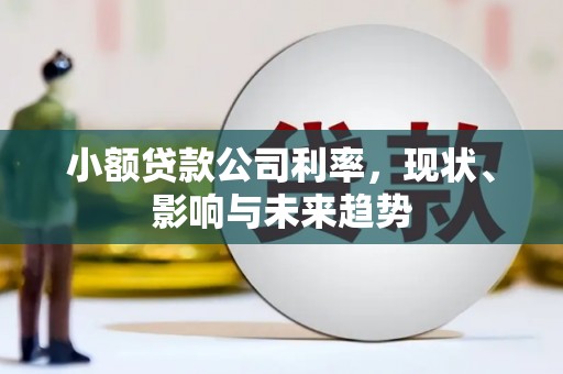 固阳小额贷款公司利率，现状、影响与未来趋势