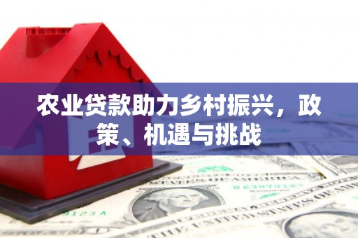 固阳农业贷款助力乡村振兴，政策、机遇与挑战