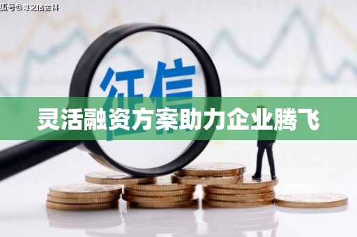 固阳灵活融资方案助力企业腾飞