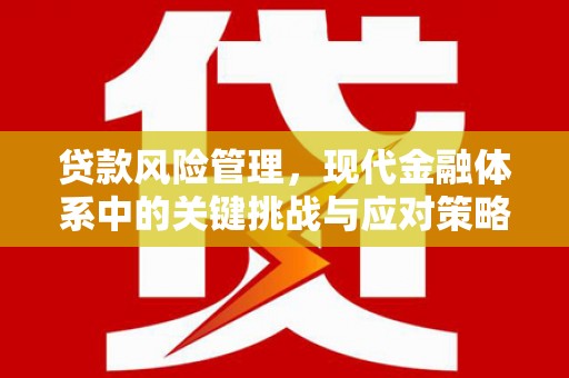 固阳贷款风险管理，现代金融体系中的关键挑战与应对策略