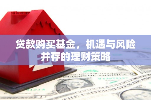 固阳贷款购买基金，机遇与风险并存的理财策略