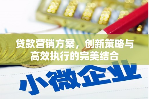 固阳贷款营销方案，创新策略与高效执行的完美结合