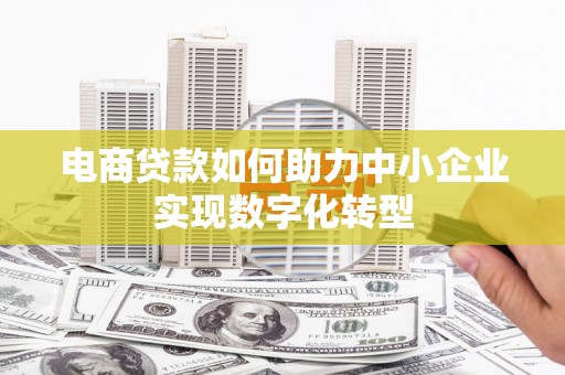 固阳电商贷款如何助力中小企业实现数字化转型