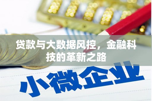 固阳贷款与大数据风控，金融科技的革新之路