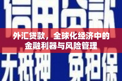 固阳外汇贷款，全球化经济中的金融利器与风险管理