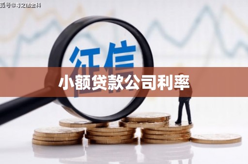 固阳小额贷款公司利率