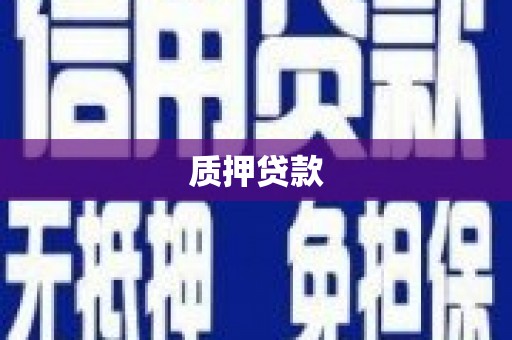 固阳质押贷款