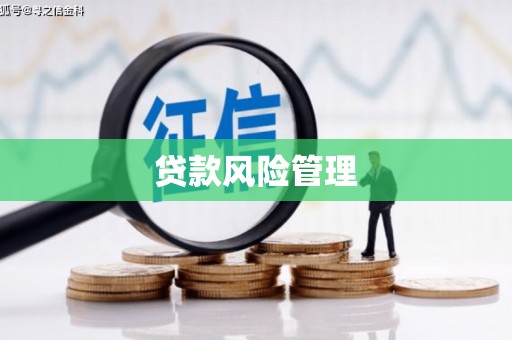 固阳贷款风险管理