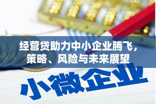 固阳经营贷助力中小企业腾飞，策略、风险与未来展望