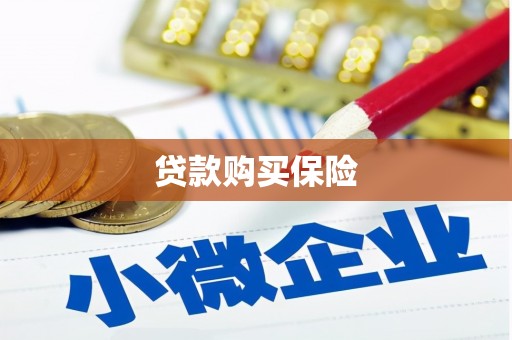 固阳贷款购买保险