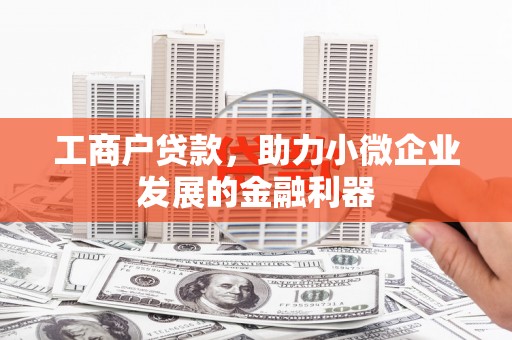 固阳工商户贷款，助力小微企业发展的金融利器