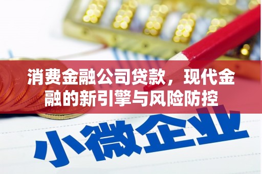 固阳消费金融公司贷款，现代金融的新引擎与风险防控