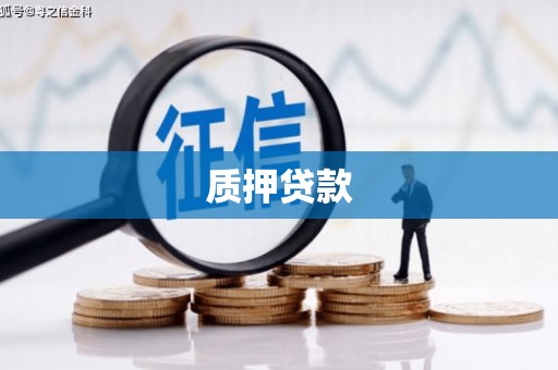 固阳质押贷款
