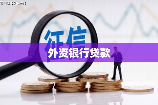 固阳外资银行贷款