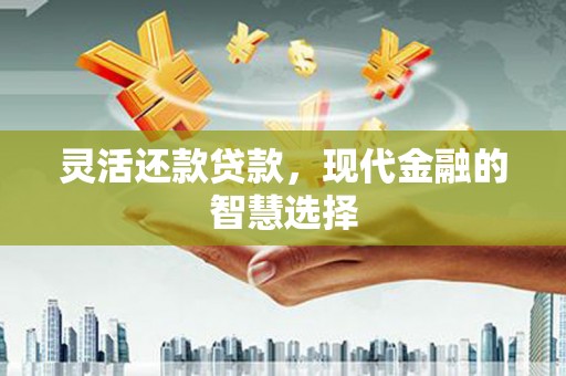 固阳灵活还款贷款，现代金融的智慧选择