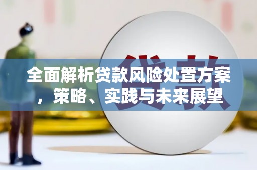 固阳全面解析贷款风险处置方案，策略、实践与未来展望