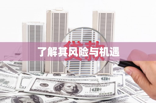 固阳了解其风险与机遇