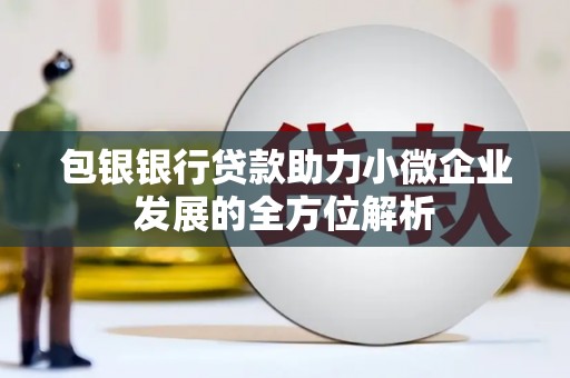 固阳包银银行贷款助力小微企业发展的全方位解析