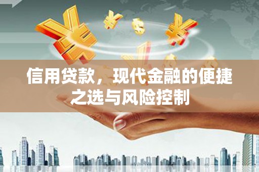 固阳信用贷款，现代金融的便捷之选与风险控制