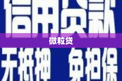 固阳微粒贷