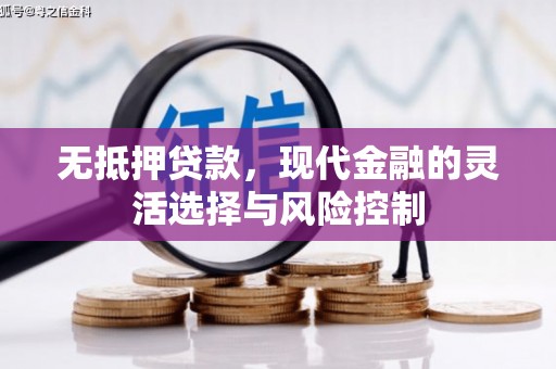 固阳无抵押贷款，现代金融的灵活选择与风险控制
