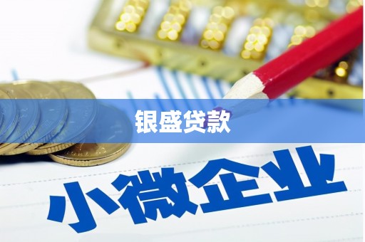 固阳银盛贷款
