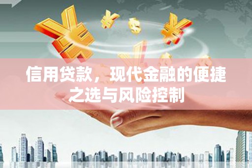 固阳信用贷款，现代金融的便捷之选与风险控制