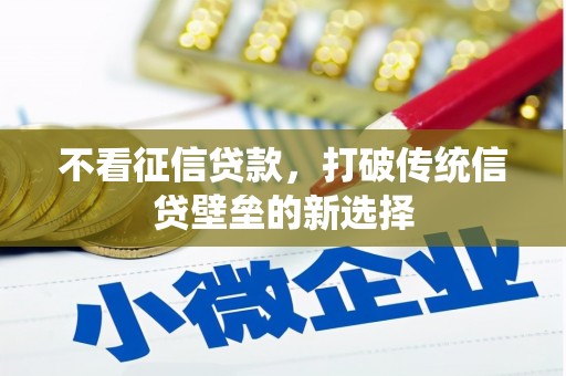 固阳不看征信贷款，打破传统信贷壁垒的新选择