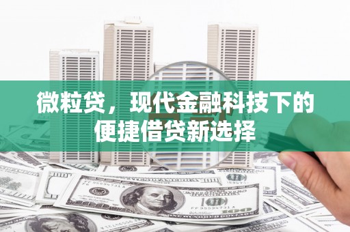 固阳微粒贷，现代金融科技下的便捷借贷新选择