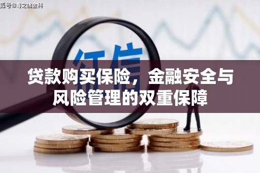 固阳贷款购买保险，金融安全与风险管理的双重保障