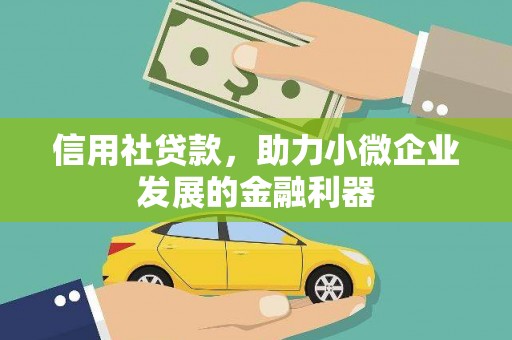 固阳信用社贷款，助力小微企业发展的金融利器