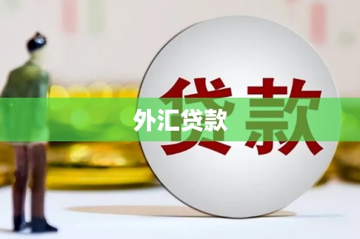 固阳外汇贷款