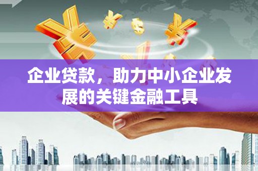 固阳企业贷款，助力中小企业发展的关键金融工具