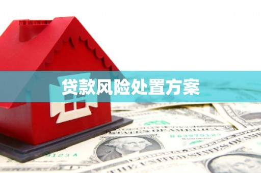固阳贷款风险处置方案