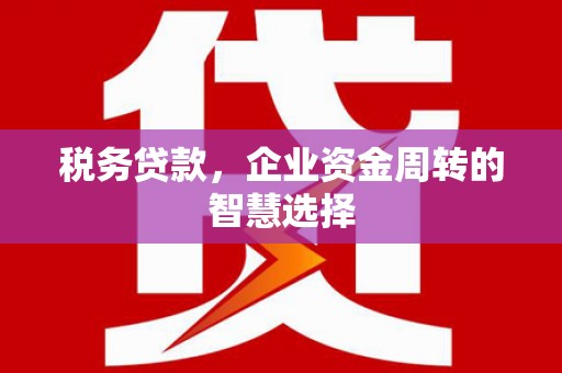 固阳税务贷款，企业资金周转的智慧选择