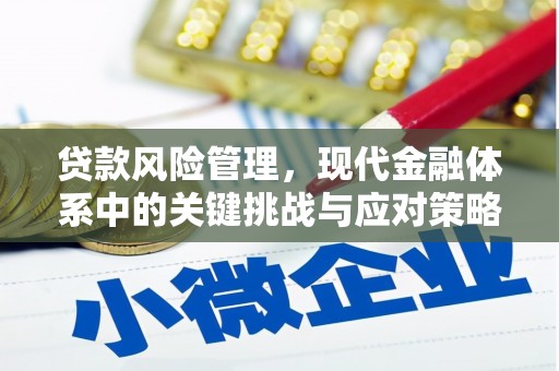 固阳贷款风险管理，现代金融体系中的关键挑战与应对策略