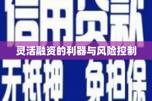 固阳灵活融资的利器与风险控制