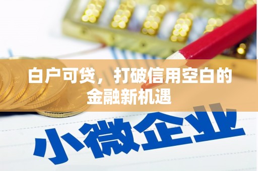 固阳白户可贷，打破信用空白的金融新机遇