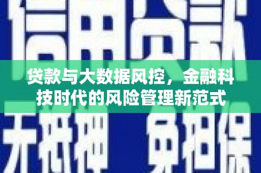 固阳贷款与大数据风控，金融科技时代的风险管理新范式