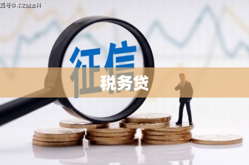 固阳税务贷