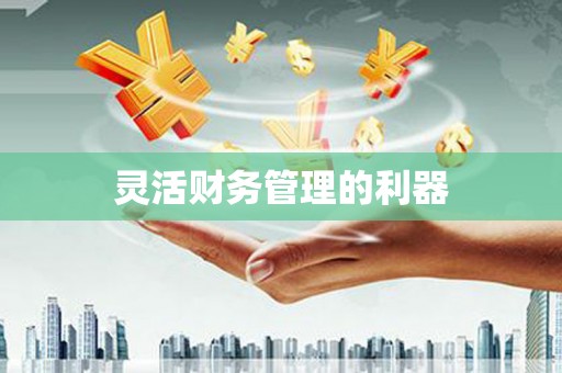 固阳灵活财务管理的利器