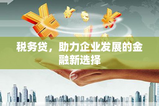 固阳税务贷，助力企业发展的金融新选择